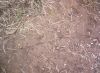 Filename=115255-0.jpg
Filesize=48KB
Dimensions=500x366
Date added=Dec 31, 1969 115255-0.jpg