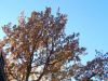 Filename=91197-0.jpg
Filesize=39KB
Dimensions=425x319
Date added=Dec 31, 1969 91197-0.jpg