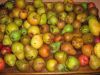 Filename=fruits_du_verger.jpg
Filesize=250KB
Dimensions=992x744
Date added=May 29, 2008 fruits_du_verger.jpg