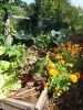 10juin06_007_[320x200].jpg